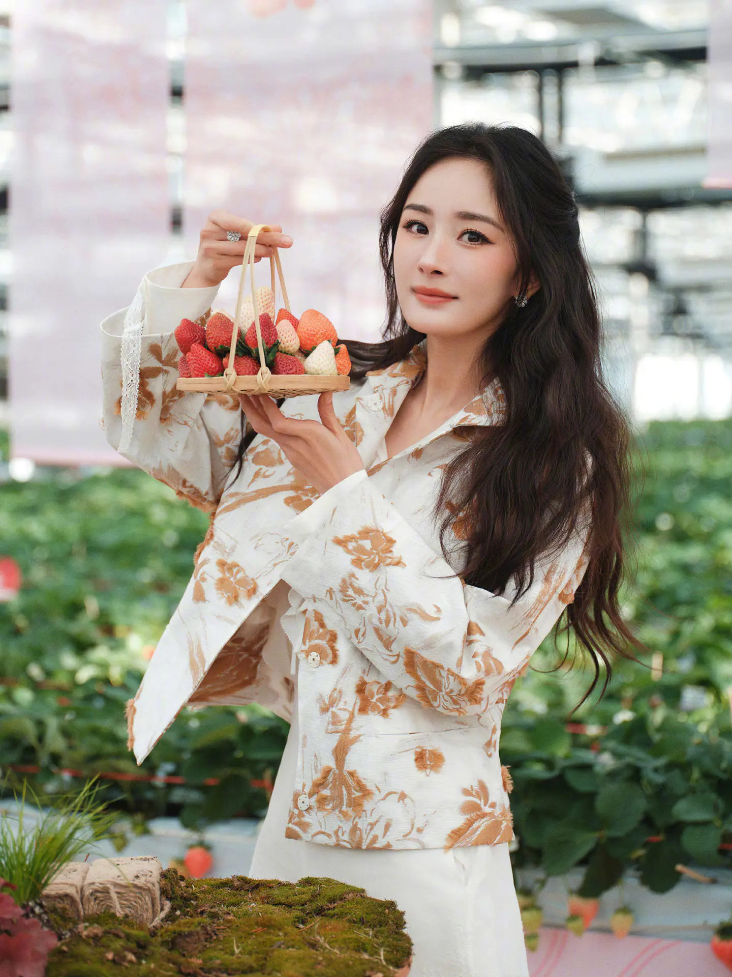 杨幂穿碎花裙与草莓合影,实在太美了 杨幂穿碎花裙与草莓合影,实在太美了
