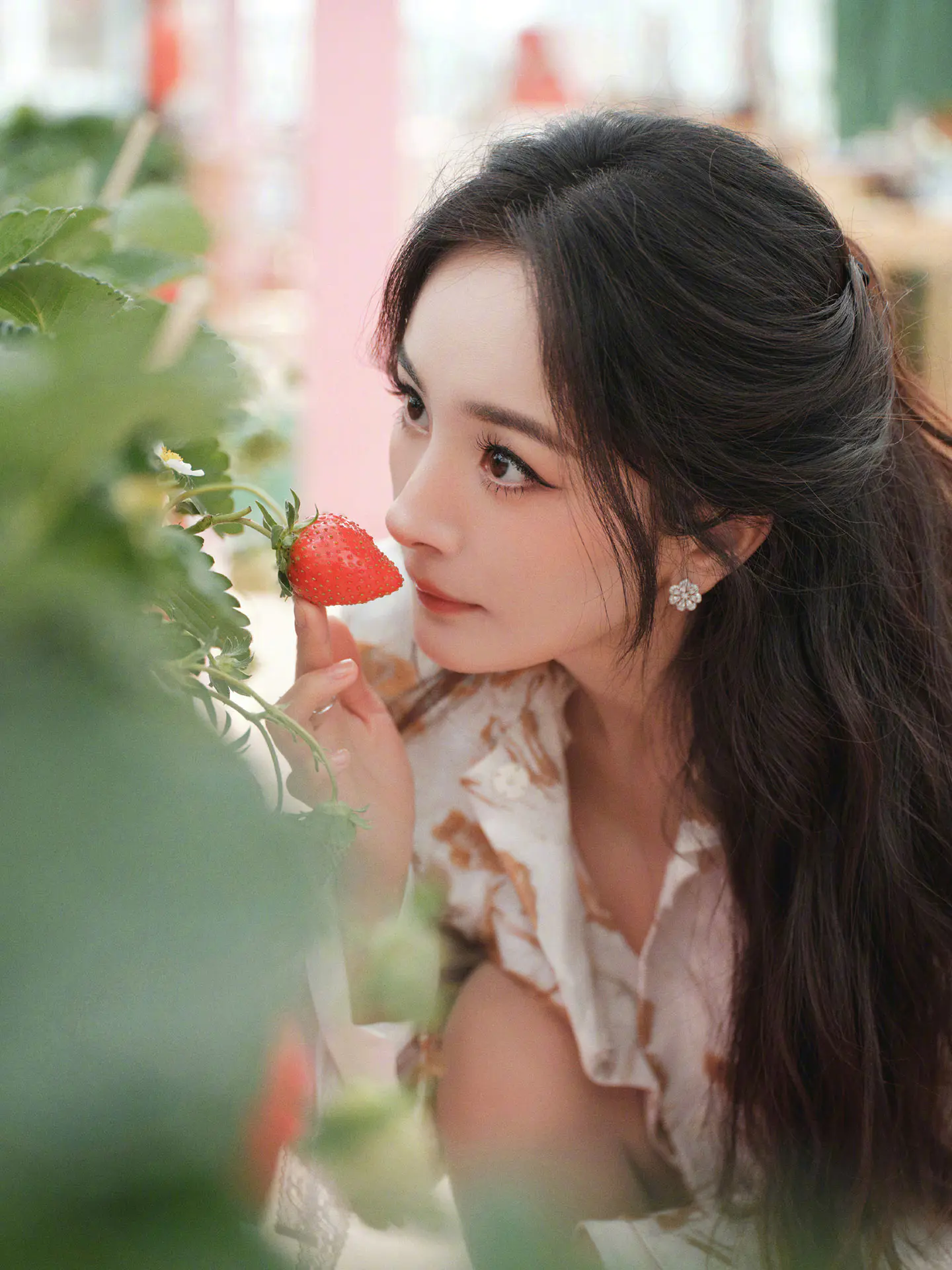 杨幂穿碎花裙与草莓合影,实在太美了 杨幂穿碎花裙与草莓合影,实在太美了