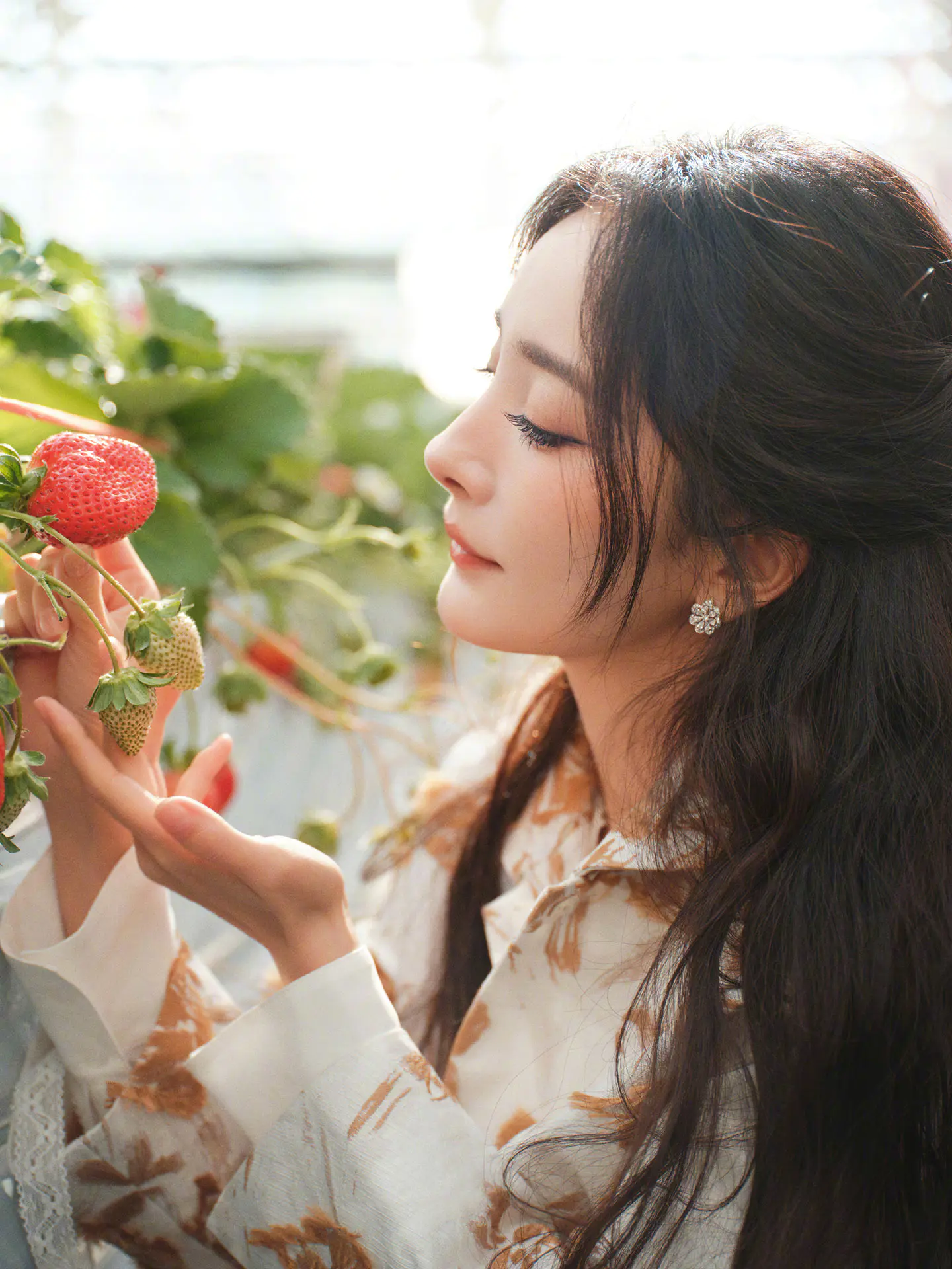 杨幂穿碎花裙与草莓合影,实在太美了 杨幂穿碎花裙与草莓合影,实在太美了