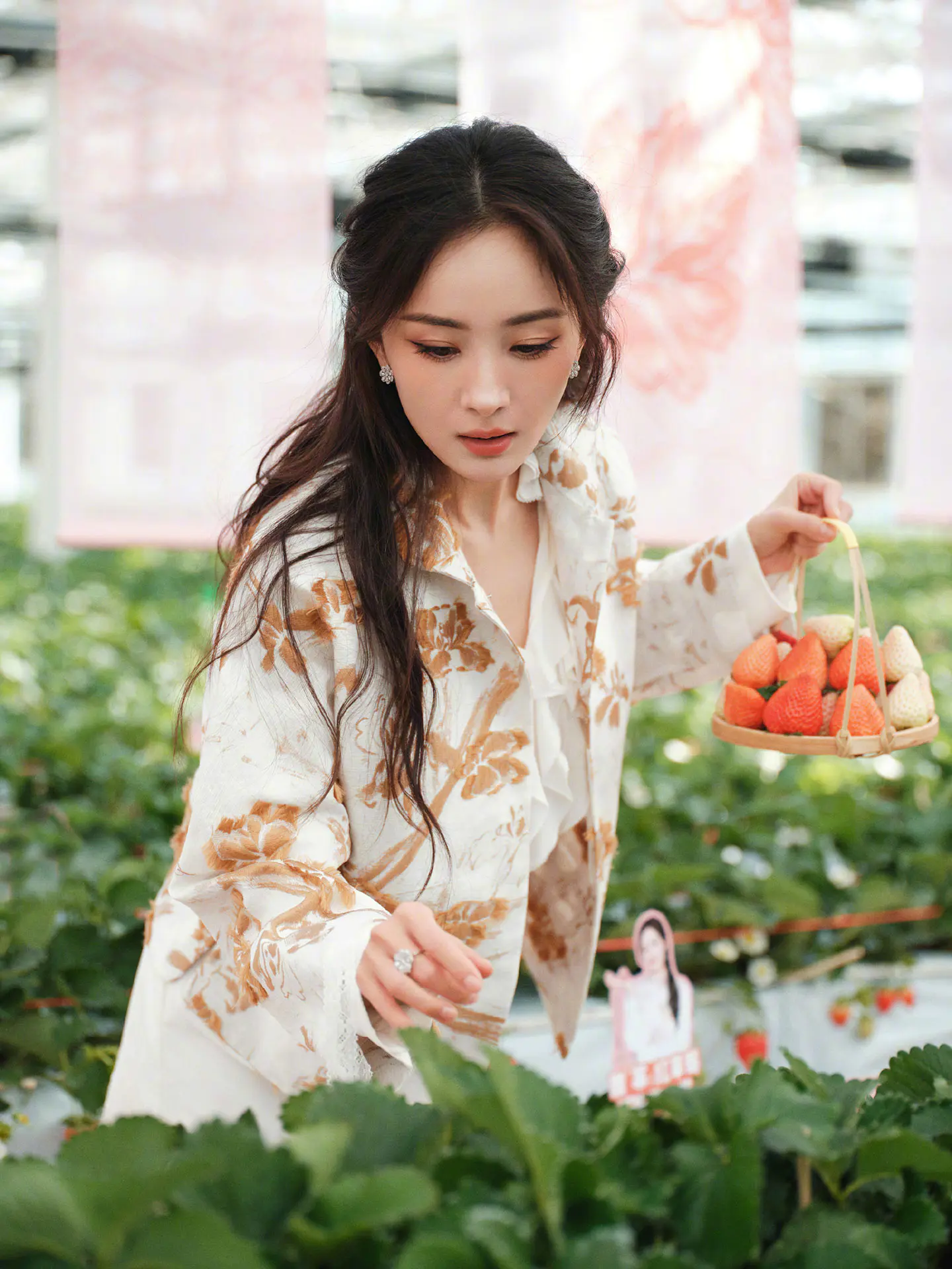 杨幂穿碎花裙与草莓合影,实在太美了 杨幂穿碎花裙与草莓合影,实在太美了
