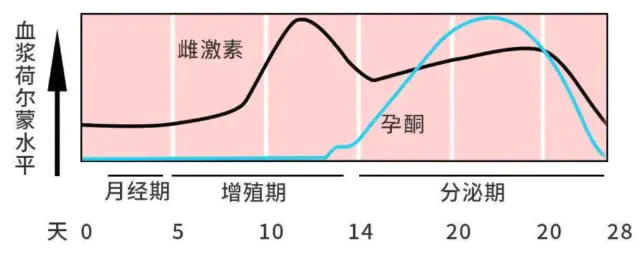 男女在什么时候******最旺盛,看完你就知道了 男女在什么时候******最旺盛,看完你就知道了