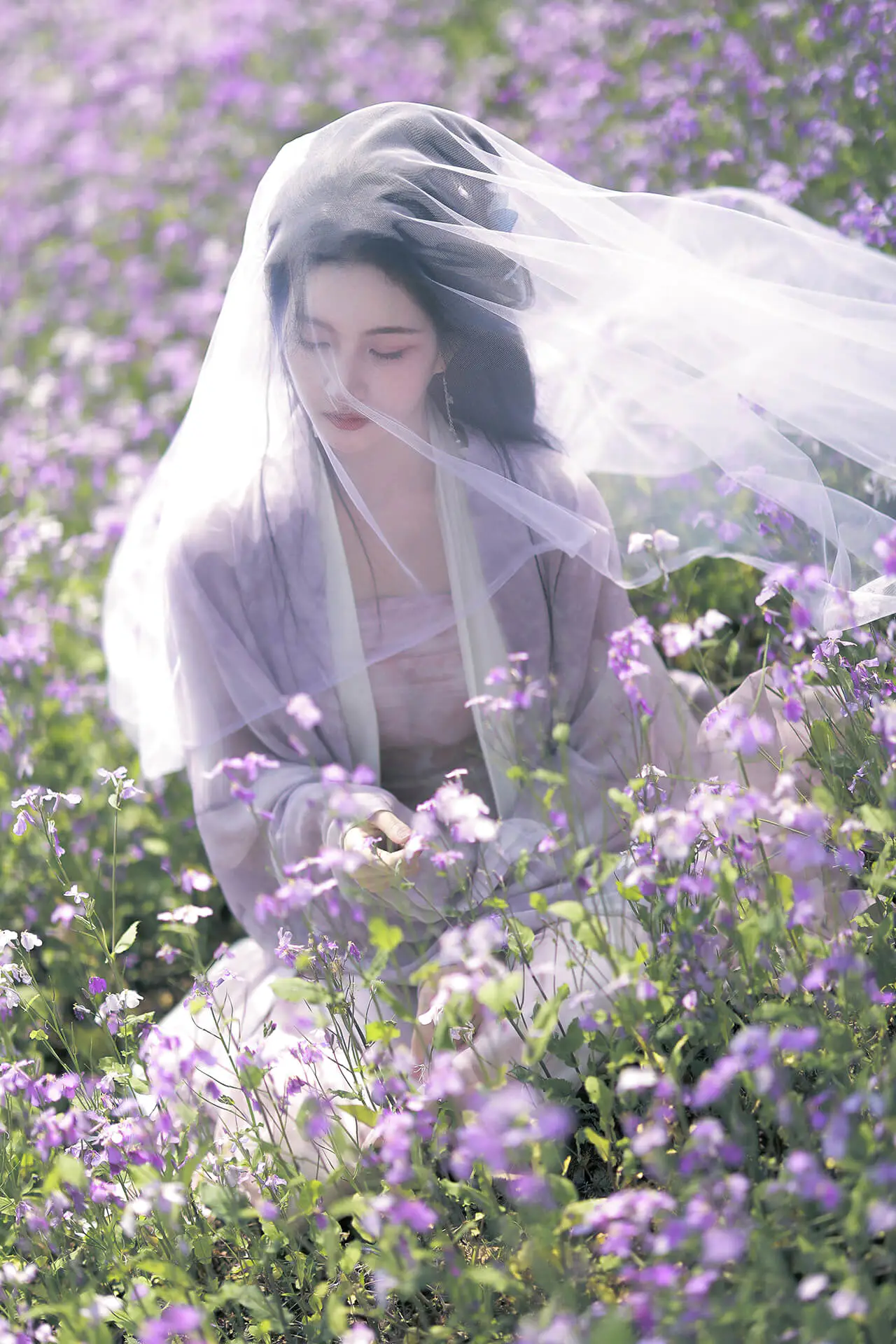 刘些宁花海古装美拍 越来越美了 刘些宁花海古装美拍 越来越美了