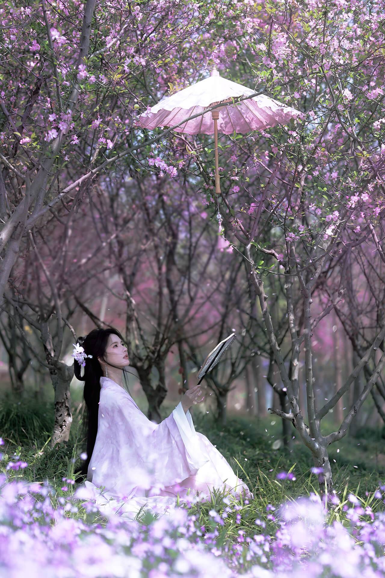 刘些宁花海古装美拍 越来越美了 刘些宁花海古装美拍 越来越美了