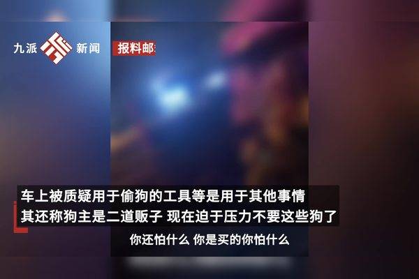 网友自称拦下一辆偷狗车，派出所：狗系正规渠道购买，已送去宠物医院